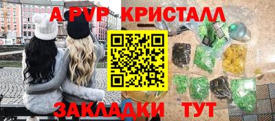 шишки Тара
