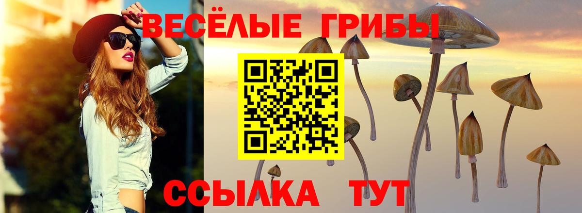 Галлюциногенные грибы мицелий Кемерово